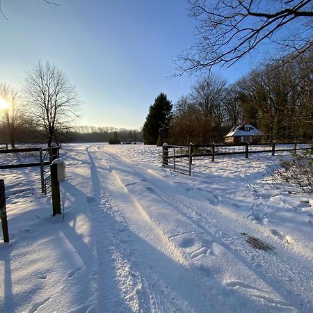 Vakantiewoning Heidebos In Het Nationaal Park Hoge Kempen Opglabbeek 外观 照片