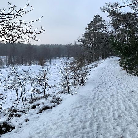 Vakantiewoning Heidebos In Het Nationaal Park Hoge Kempen Opglabbeek 外观 照片