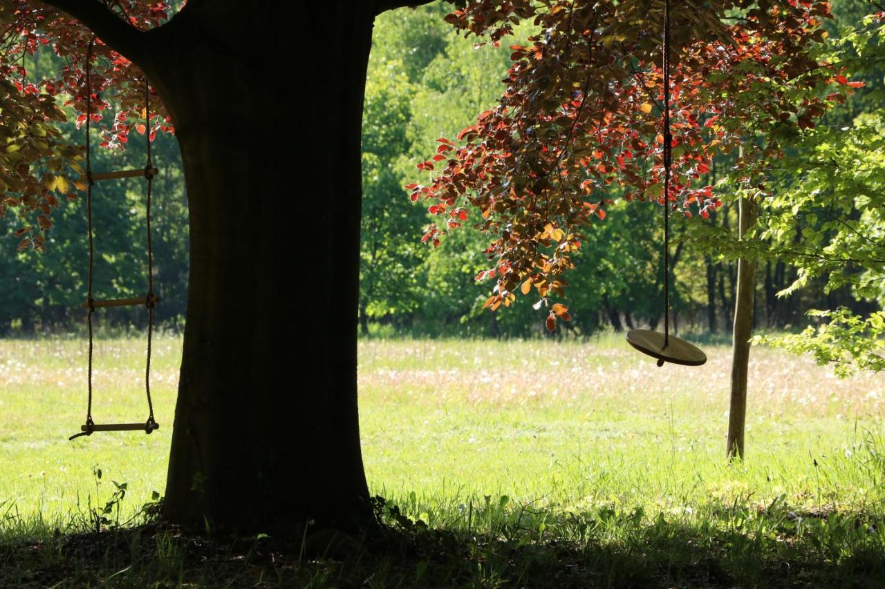 Vakantiewoning Heidebos In Het Nationaal Park Hoge Kempen Opglabbeek 外观 照片