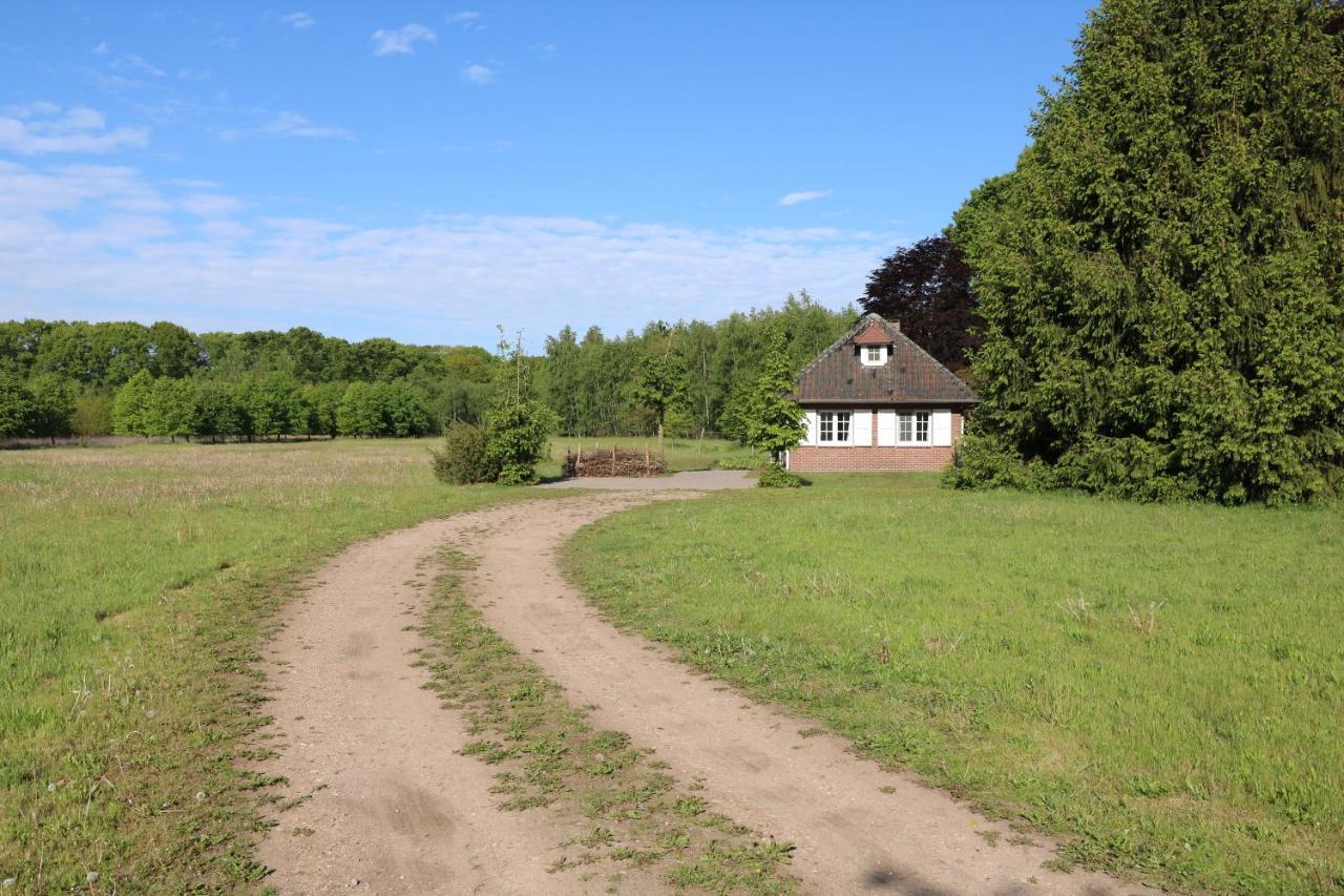 Vakantiewoning Heidebos In Het Nationaal Park Hoge Kempen Opglabbeek 外观 照片