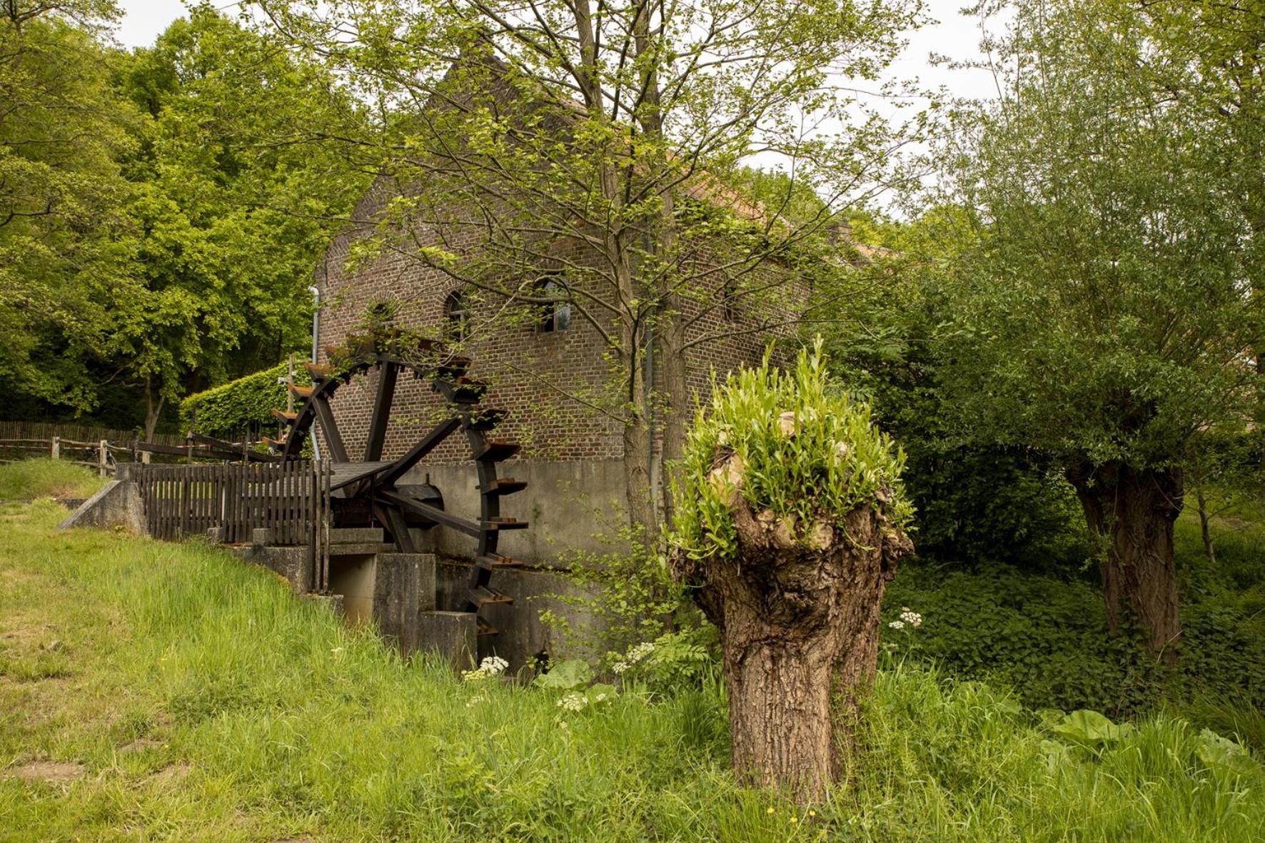 Vakantiewoning Heidebos In Het Nationaal Park Hoge Kempen Opglabbeek 外观 照片