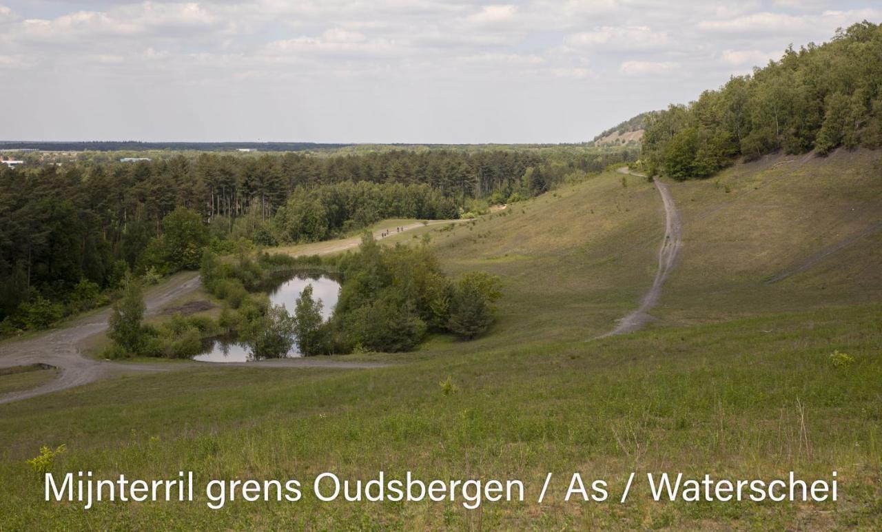 Vakantiewoning Heidebos In Het Nationaal Park Hoge Kempen Opglabbeek 外观 照片