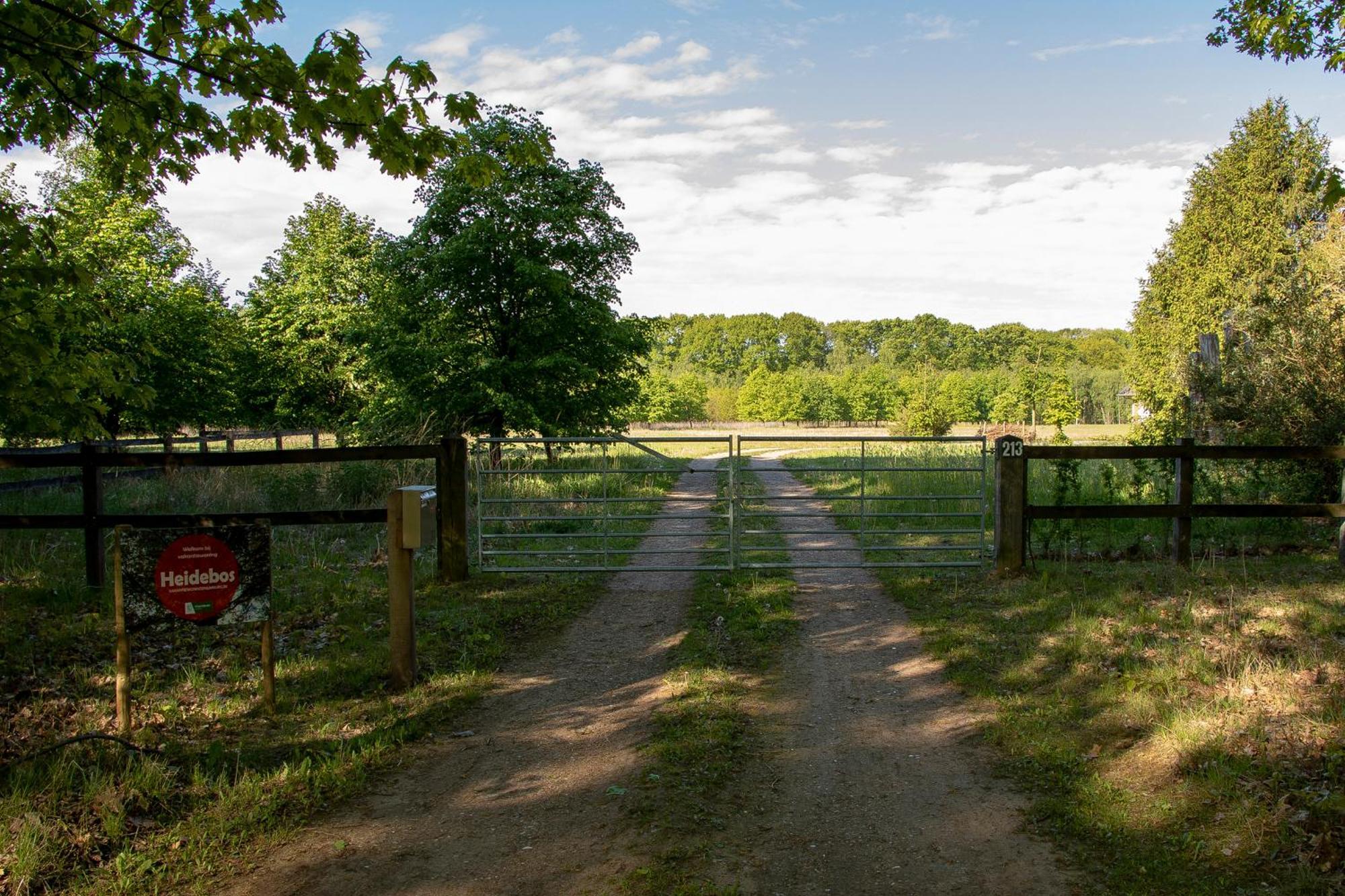 Vakantiewoning Heidebos In Het Nationaal Park Hoge Kempen Opglabbeek 外观 照片