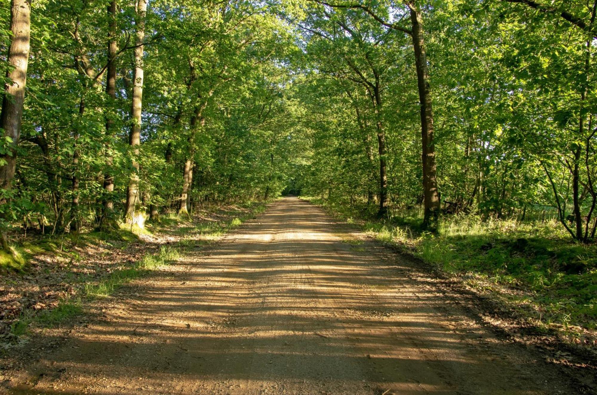 Vakantiewoning Heidebos In Het Nationaal Park Hoge Kempen Opglabbeek 外观 照片