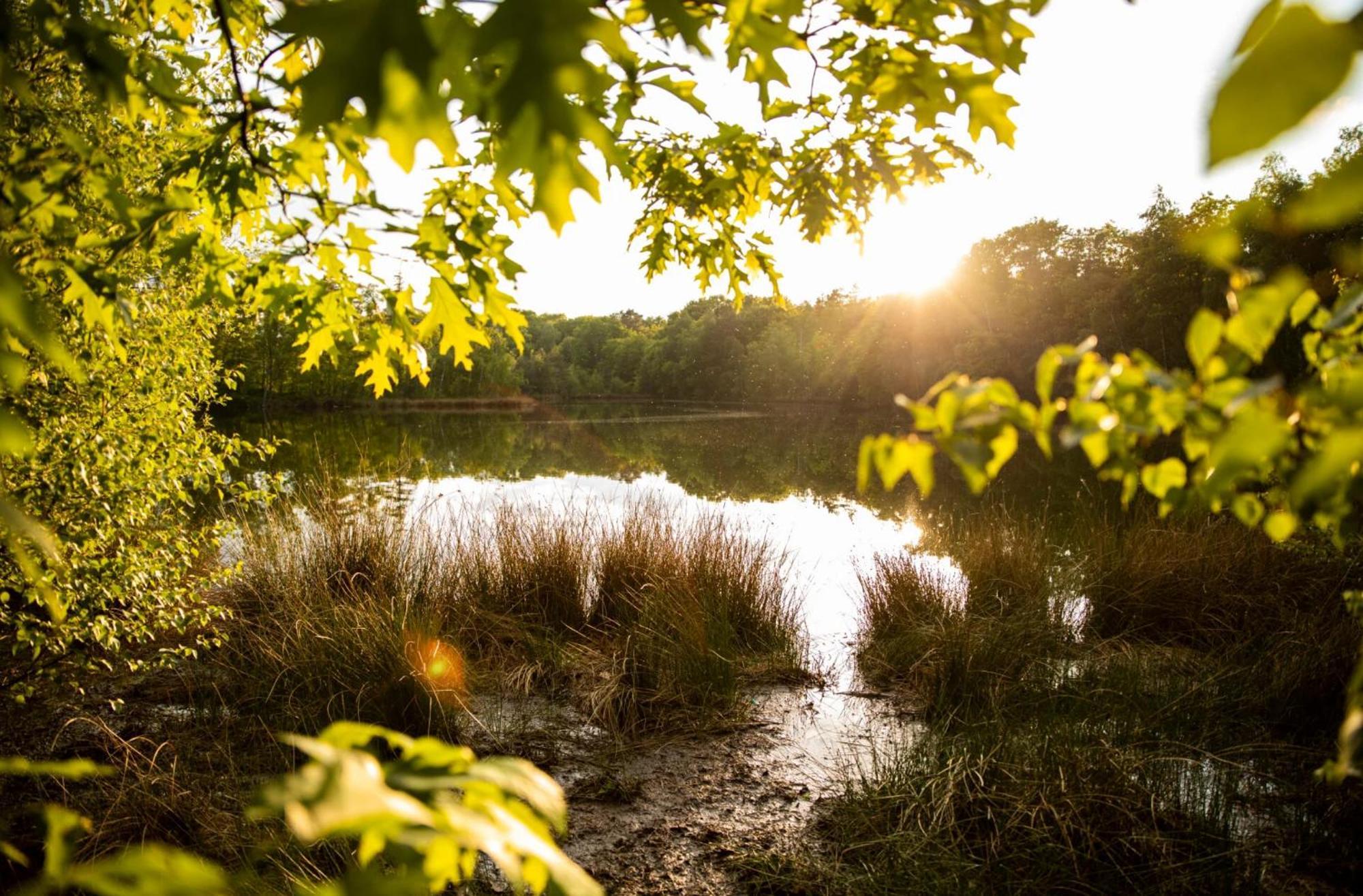 Vakantiewoning Heidebos In Het Nationaal Park Hoge Kempen Opglabbeek 外观 照片