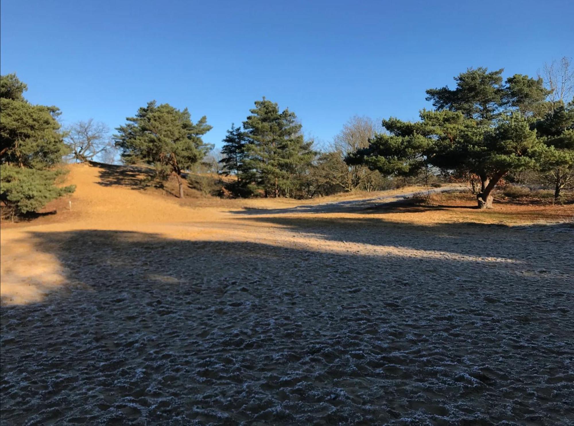 Vakantiewoning Heidebos In Het Nationaal Park Hoge Kempen Opglabbeek 外观 照片