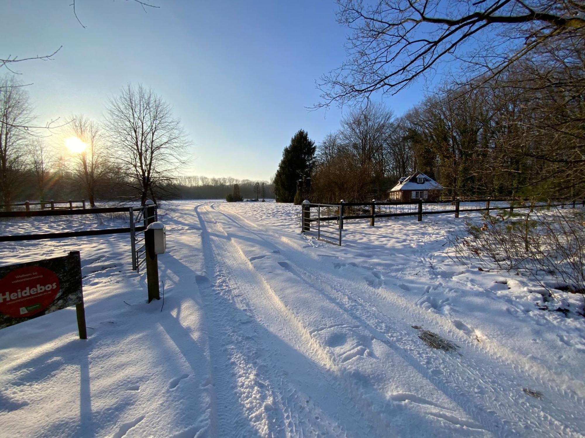 Vakantiewoning Heidebos In Het Nationaal Park Hoge Kempen Opglabbeek 外观 照片