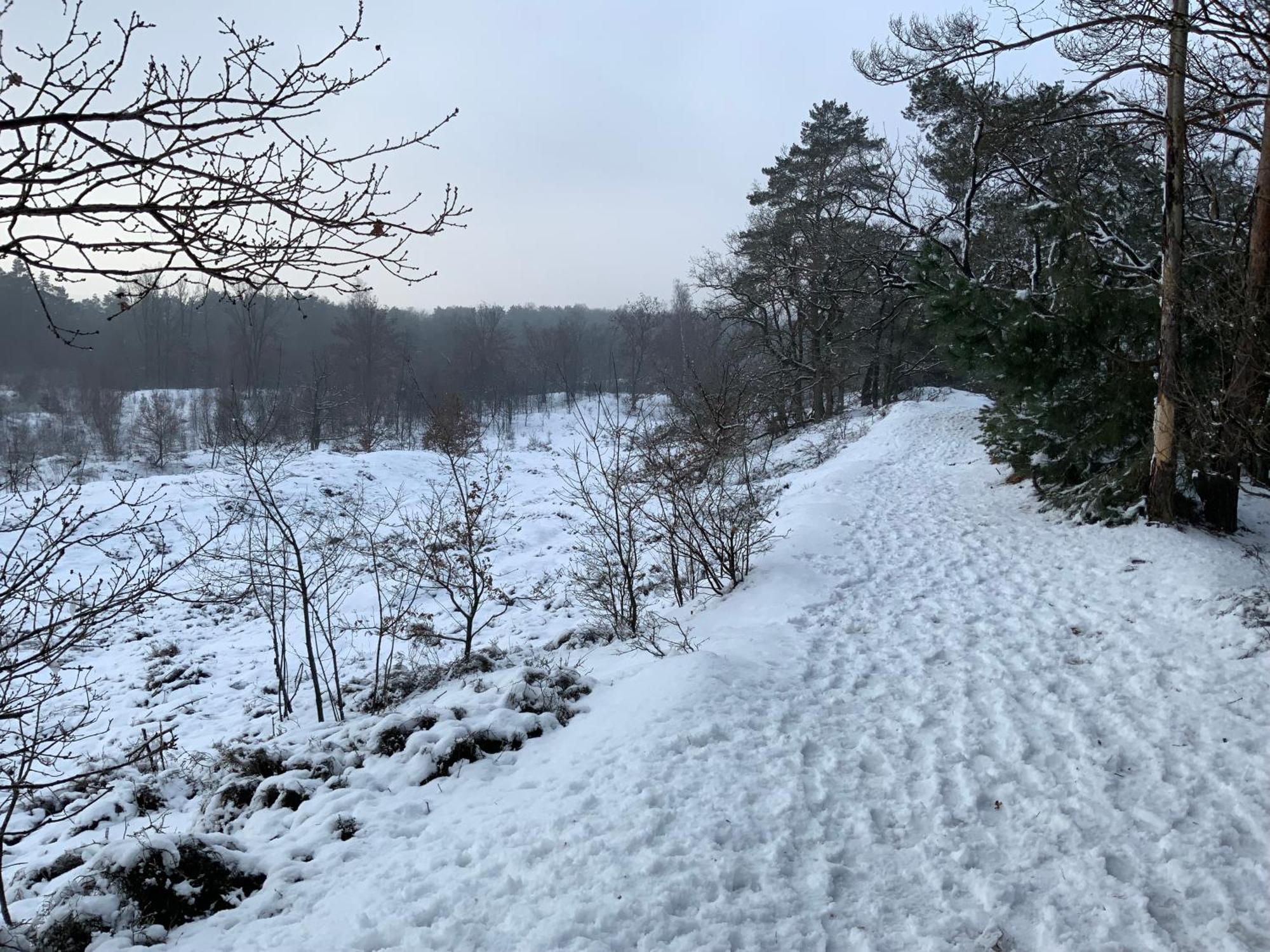 Vakantiewoning Heidebos In Het Nationaal Park Hoge Kempen Opglabbeek 外观 照片